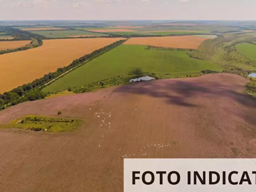 Immagine 16 di Terreno edificabile in vendita  in  Via dei tigli a Cento