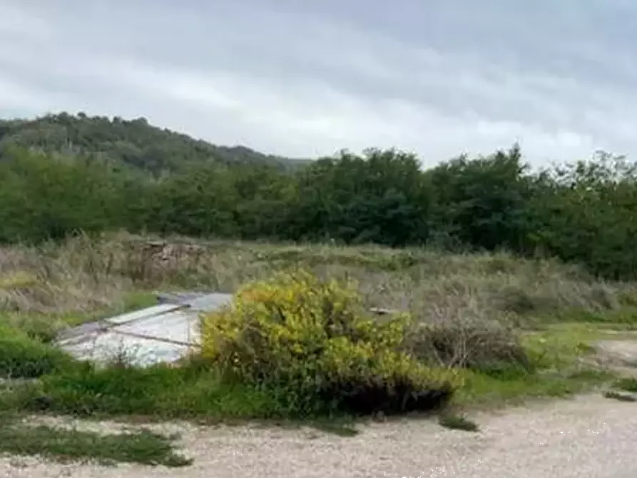 Immagine 3 di Terreno edificabile in vendita  in Via Nazionale a Vallefoglia