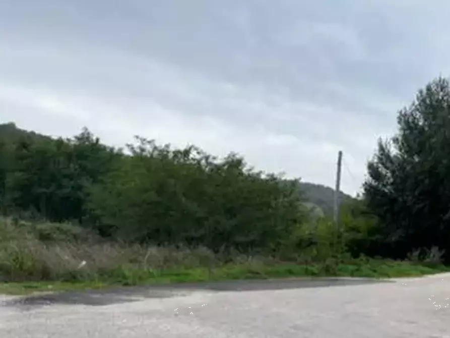 Immagine 4 di Terreno edificabile in vendita  in Via Nazionale a Vallefoglia