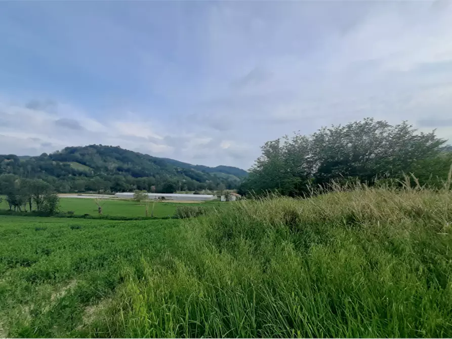 Immagine 9 di Terreno edificabile in vendita  in Via Nazionale a Vallefoglia