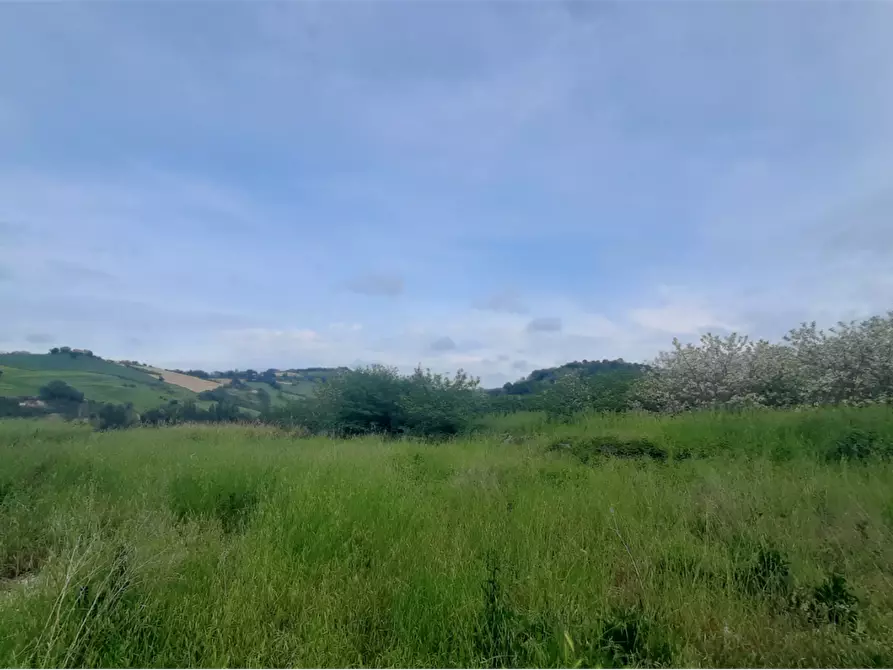 Immagine 12 di Terreno edificabile in vendita  in Via Nazionale a Vallefoglia