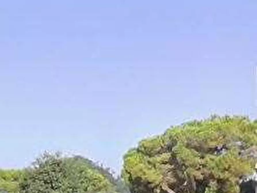 Immagine 2 di Negozio in vendita  in Via Manzoni a Montegrotto Terme