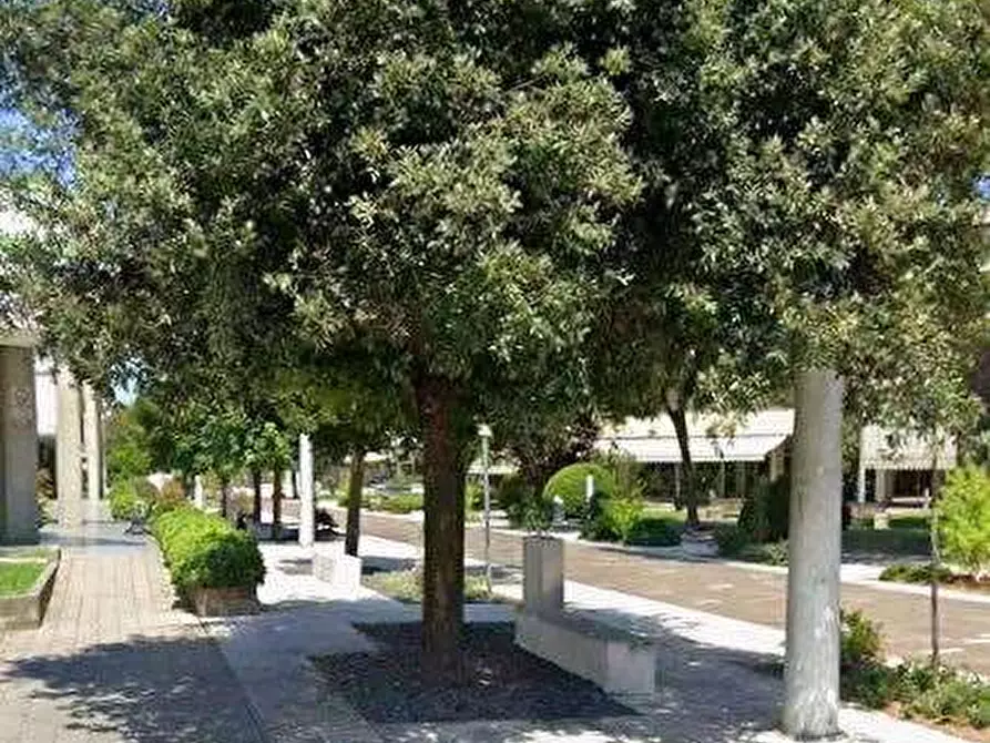 Immagine 4 di Negozio in vendita  in Via Manzoni a Montegrotto Terme