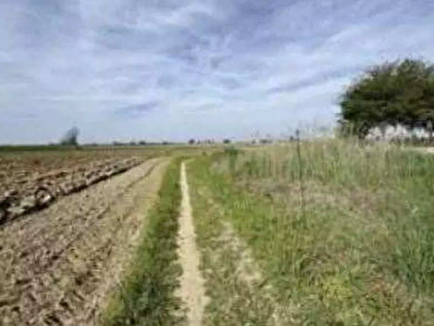 Immagine 1 di Terreno edificabile in vendita  in Via Casotti a Nogara