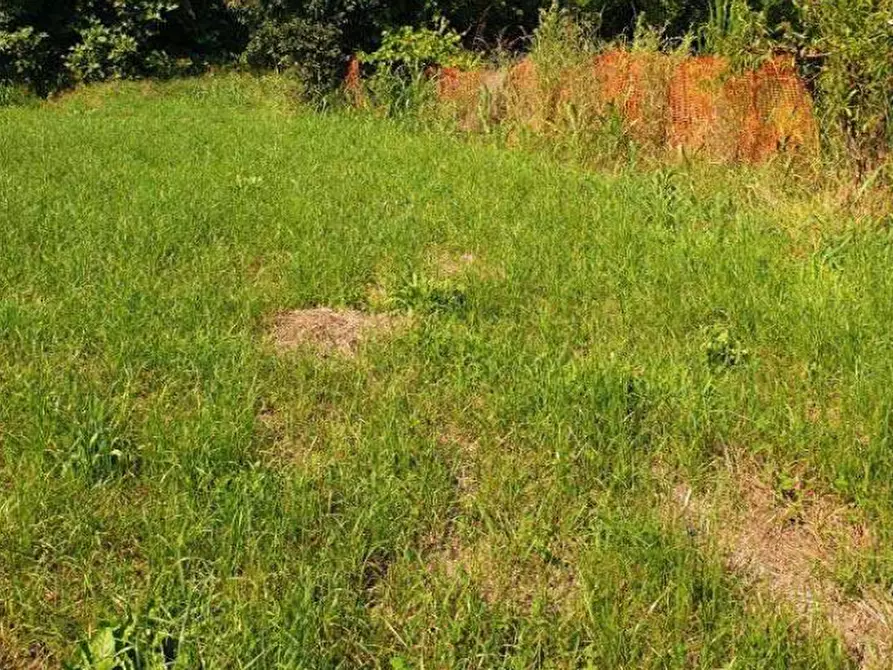 Immagine 2 di Terreno agricolo in vendita  in Località Cassano d'Adda a Cassano D'adda