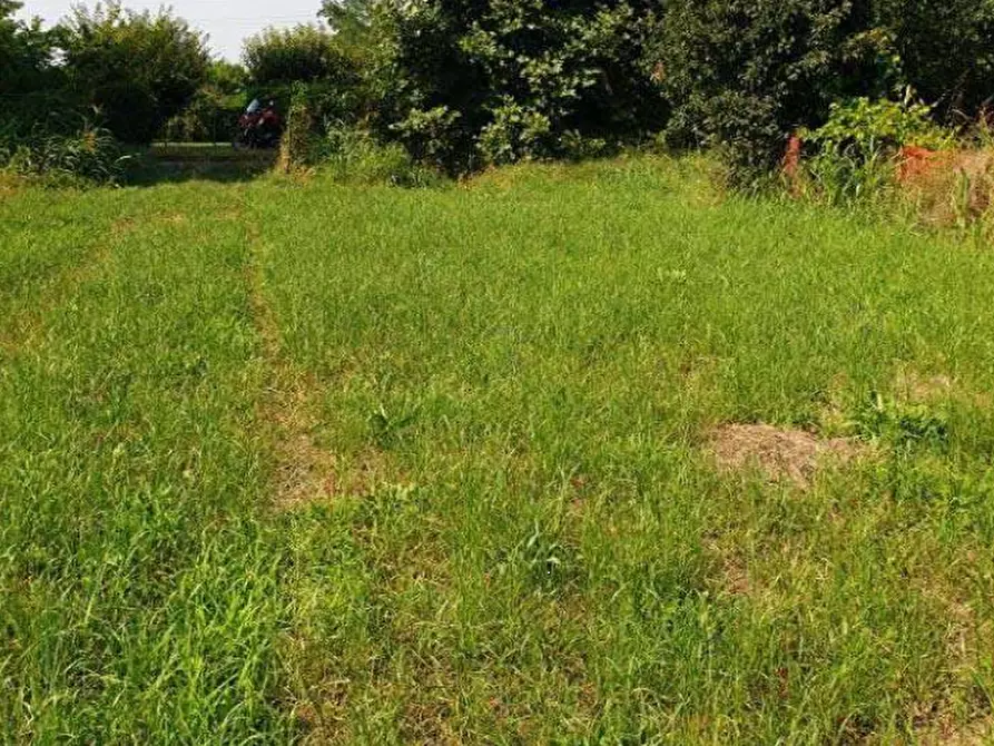 Immagine 3 di Terreno agricolo in vendita  in Località Cassano d'Adda a Cassano D'adda