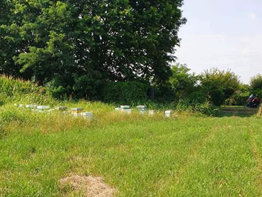 Immagine 4 di Terreno agricolo in vendita  in Località Cassano d'Adda a Cassano D'adda