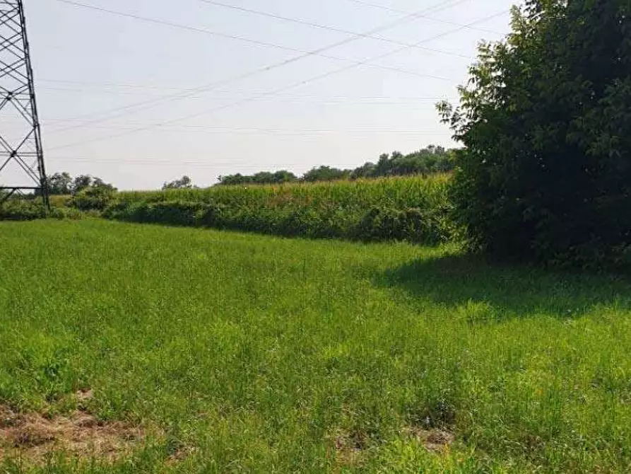 Immagine 6 di Terreno agricolo in vendita  in Località Cassano d'Adda a Cassano D'adda