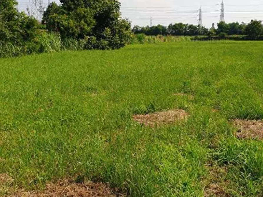 Immagine 7 di Terreno agricolo in vendita  in Località Cassano d'Adda a Cassano D'adda