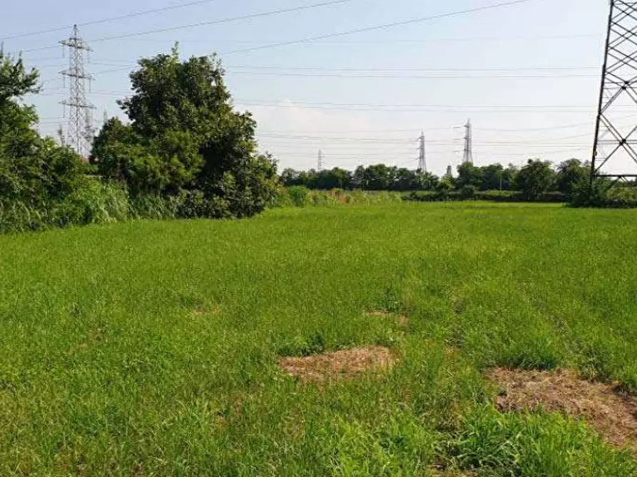 Immagine 8 di Terreno agricolo in vendita  in Località Cassano d'Adda a Cassano D'adda