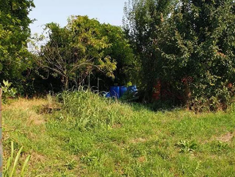 Immagine 9 di Terreno agricolo in vendita  in Località Cassano d'Adda a Cassano D'adda