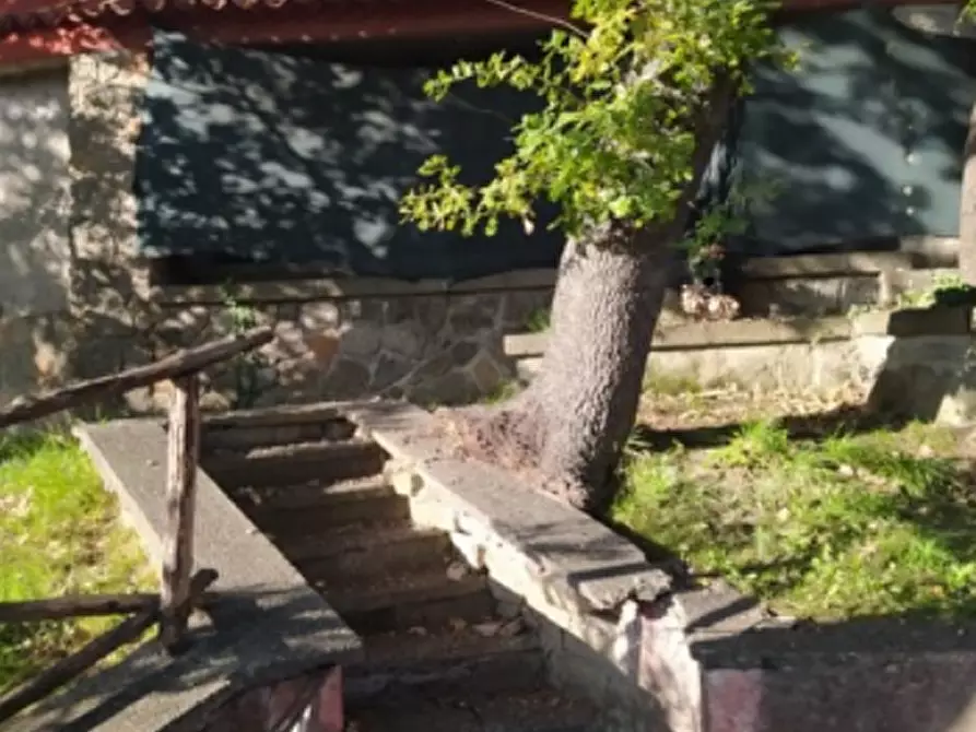 Immagine 1 di Appartamento in vendita  in Via delle Pantanelle a Ciampino