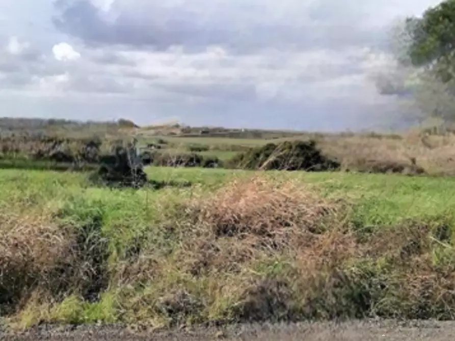 Immagine 2 di Terreno agricolo in vendita  in Via Villarbasse a Roma