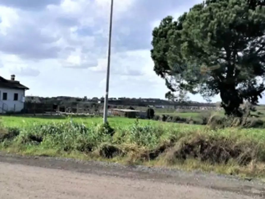 Immagine 3 di Terreno agricolo in vendita  in Via Villarbasse a Roma