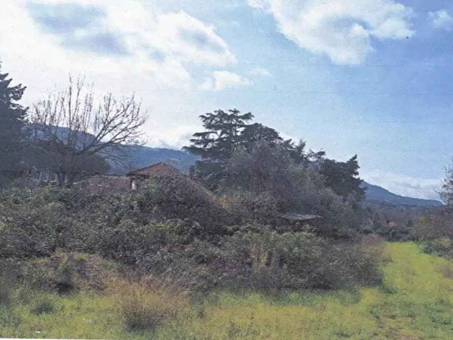 Immagine 3 di Terreno edificabile in vendita  in Via Anagnina a Grottaferrata