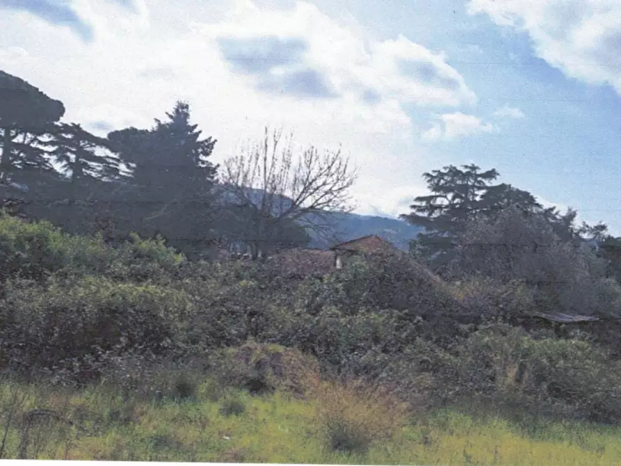 Immagine 4 di Terreno edificabile in vendita  in Via Anagnina a Grottaferrata
