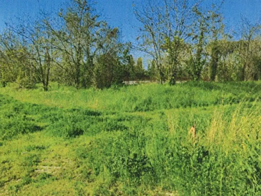 Immagine 10 di Terreno edificabile in vendita  in Via Anagnina a Grottaferrata