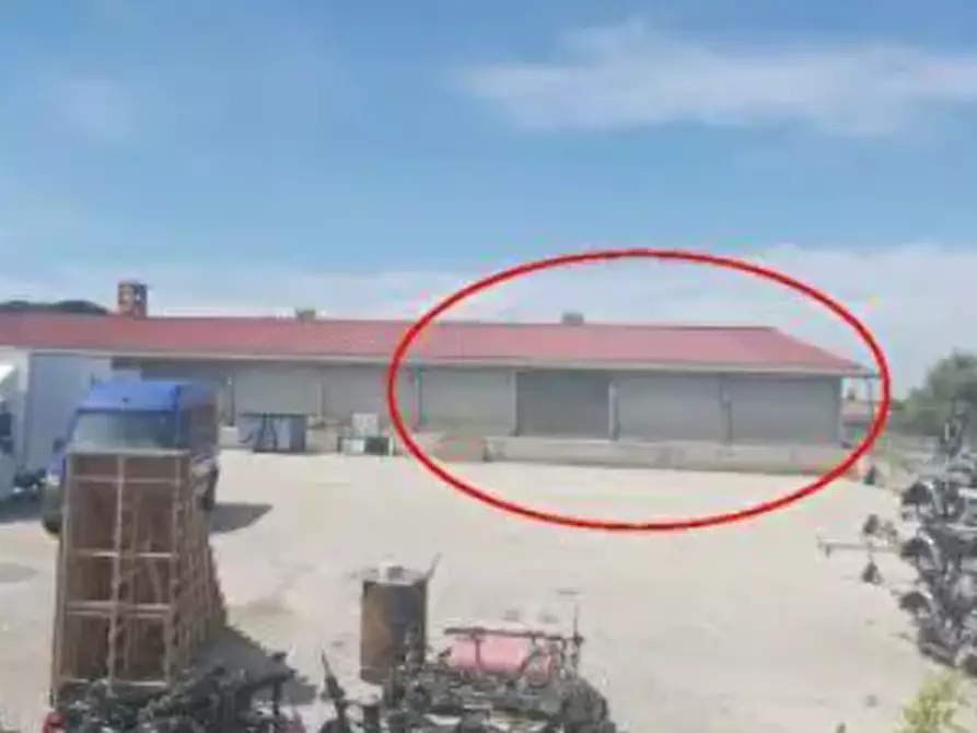 Immagine 9 di Terreno agricolo in vendita  in Via Costa Rotonda a Marino