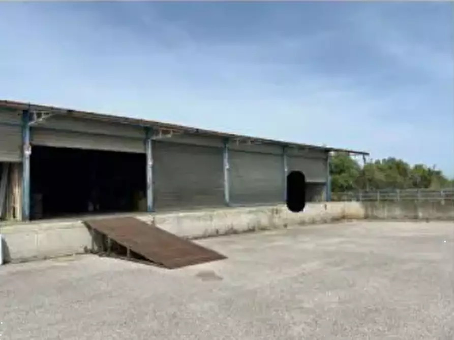 Immagine 10 di Terreno agricolo in vendita  in Via Costa Rotonda a Marino