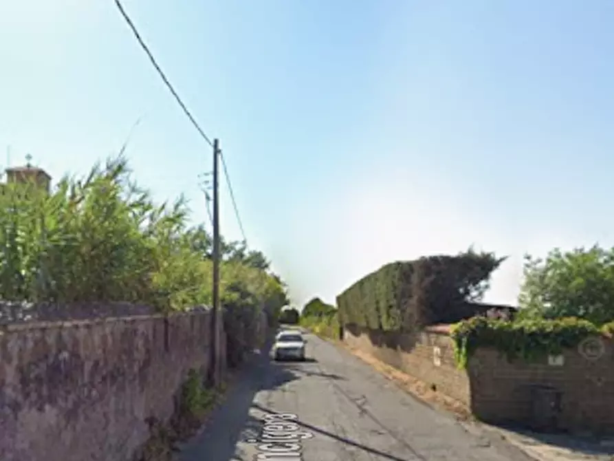 Immagine 11 di Terreno agricolo in vendita  in Via Costa Rotonda a Marino