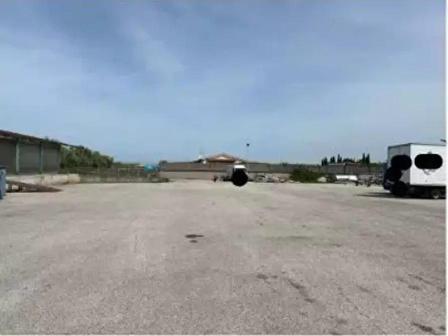 Immagine 2 di Terreno agricolo in vendita  in Via Costa Rotonda a Marino