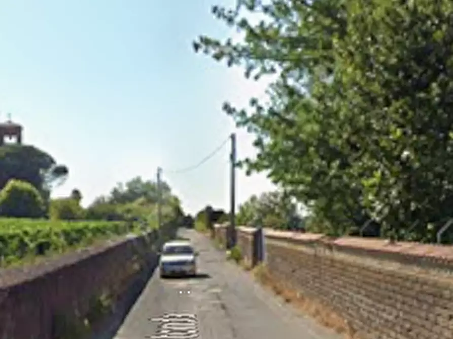 Immagine 5 di Terreno agricolo in vendita  in Via Costa Rotonda a Marino