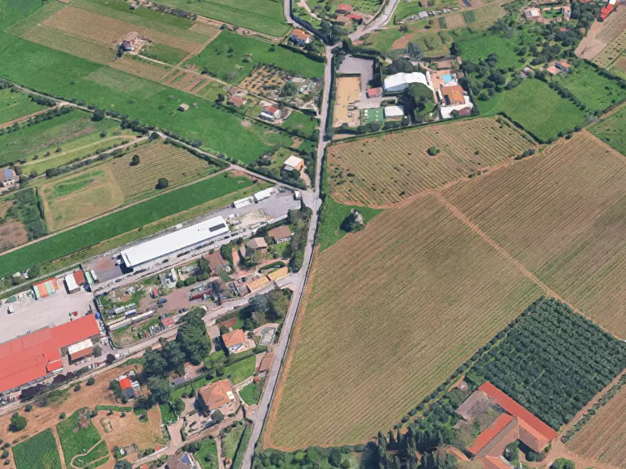 Immagine 7 di Terreno agricolo in vendita  in Via Costa Rotonda a Marino