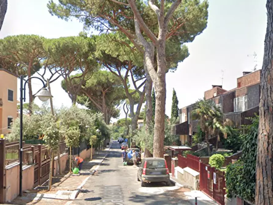 Immagine 5 di Villa in vendita  in Via Cassani a Grottaferrata