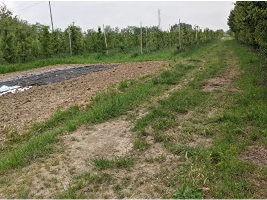 Immagine 4 di Casa indipendente in vendita  in Via Santa Liberata a Spilamberto