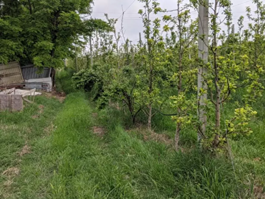 Immagine 5 di Casa indipendente in vendita  in Via Santa Liberata a Spilamberto
