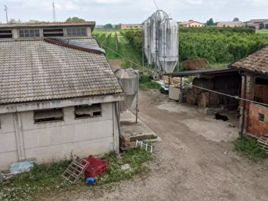 Immagine 6 di Casa indipendente in vendita  in Via Santa Liberata a Spilamberto