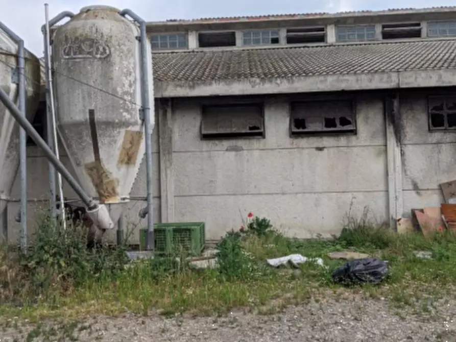 Immagine 9 di Casa indipendente in vendita  in Via Santa Liberata a Spilamberto