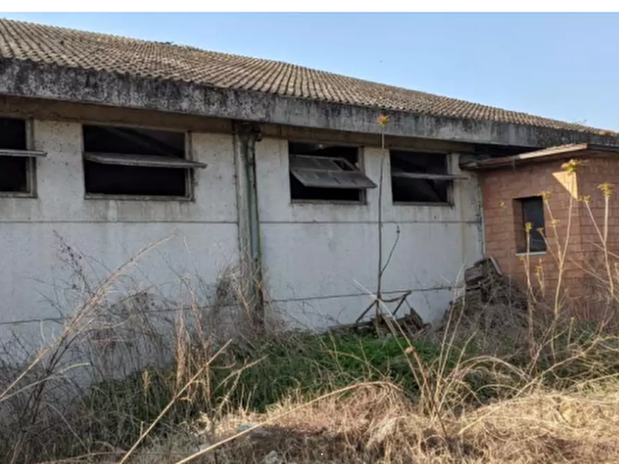 Immagine 16 di Casa indipendente in vendita  in Via Santa Liberata a Spilamberto