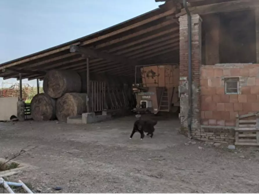 Immagine 23 di Casa indipendente in vendita  in Via Santa Liberata a Spilamberto