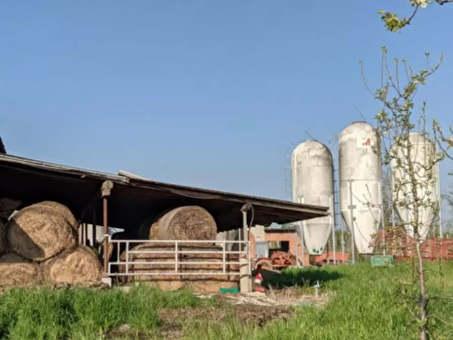 Immagine 25 di Casa indipendente in vendita  in Via Santa Liberata a Spilamberto
