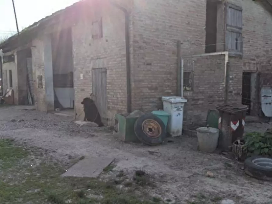 Immagine 38 di Casa indipendente in vendita  in Via Santa Liberata a Spilamberto