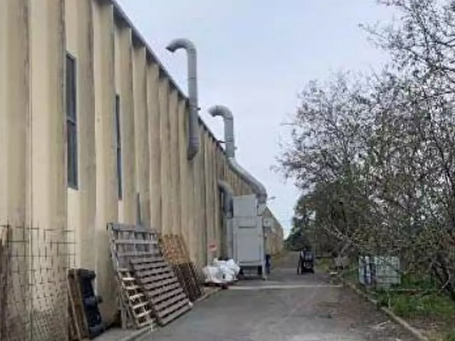 Immagine 3 di Capannone industriale in vendita  in Via delle Monachelle a Pomezia