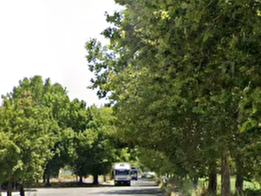 Immagine 20 di Appartamento in vendita  in Viale Giorgio De Chirico a Roma