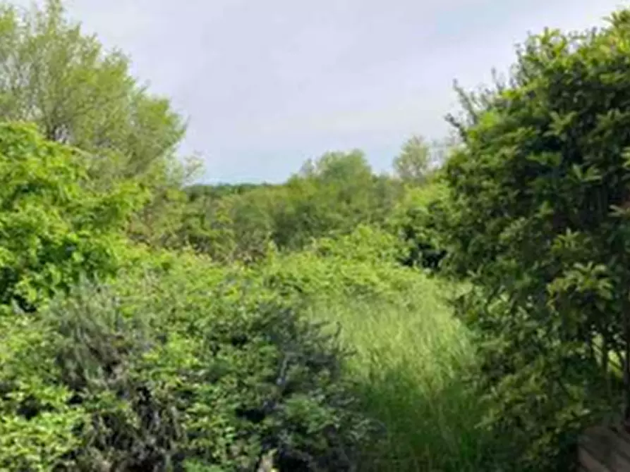 Immagine 11 di Villa in vendita  in Via Santa Giustina  a Arcugnano