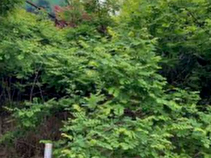 Immagine 14 di Villa in vendita  in Via Santa Giustina  a Arcugnano