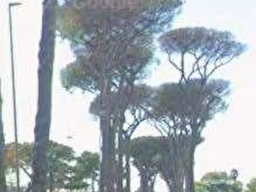 Immagine 2 di Appartamento in vendita  in Viale di Castel Porziano a Roma