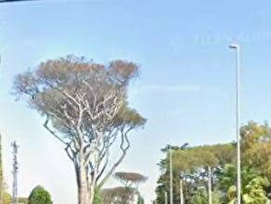 Immagine 3 di Appartamento in vendita  in Viale di Castel Porziano a Roma