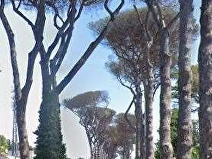 Immagine 4 di Appartamento in vendita  in Viale di Castel Porziano a Roma