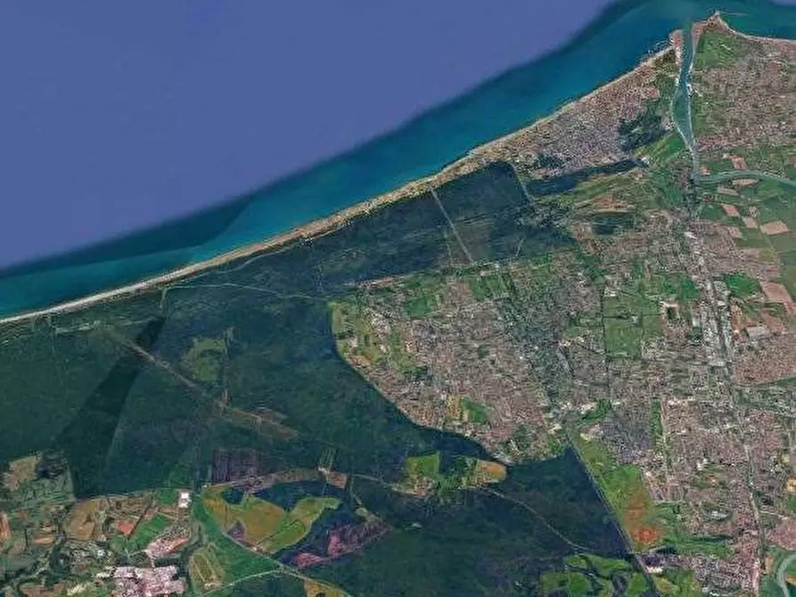 Immagine 9 di Appartamento in vendita  in Viale di Castel Porziano a Roma