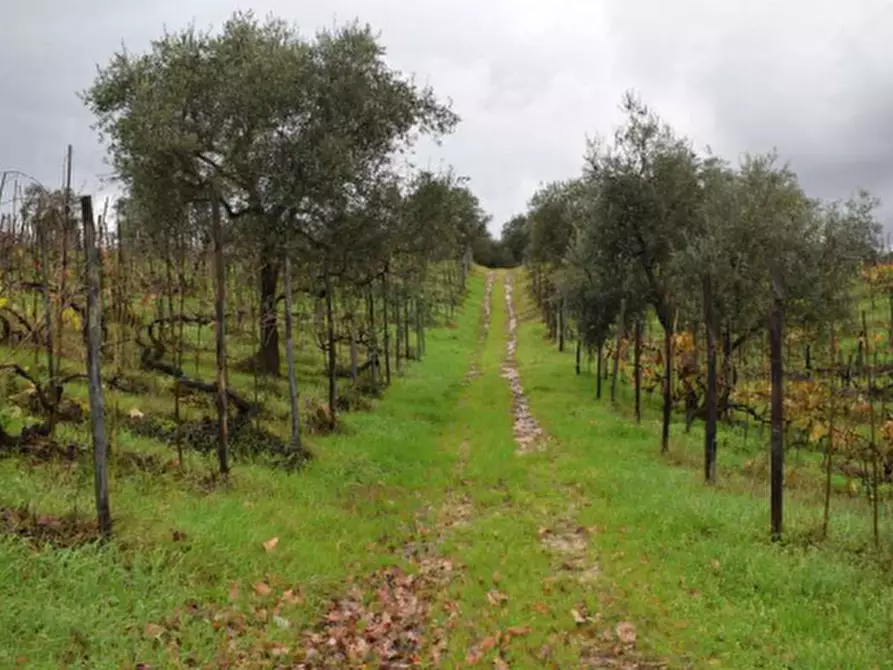 Immagine 6 di Casa indipendente in vendita  in Via Livornese a Lastra A Signa