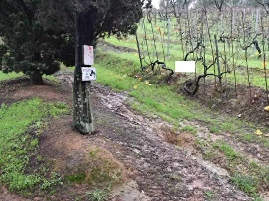 Immagine 8 di Casa indipendente in vendita  in Via Livornese a Lastra A Signa