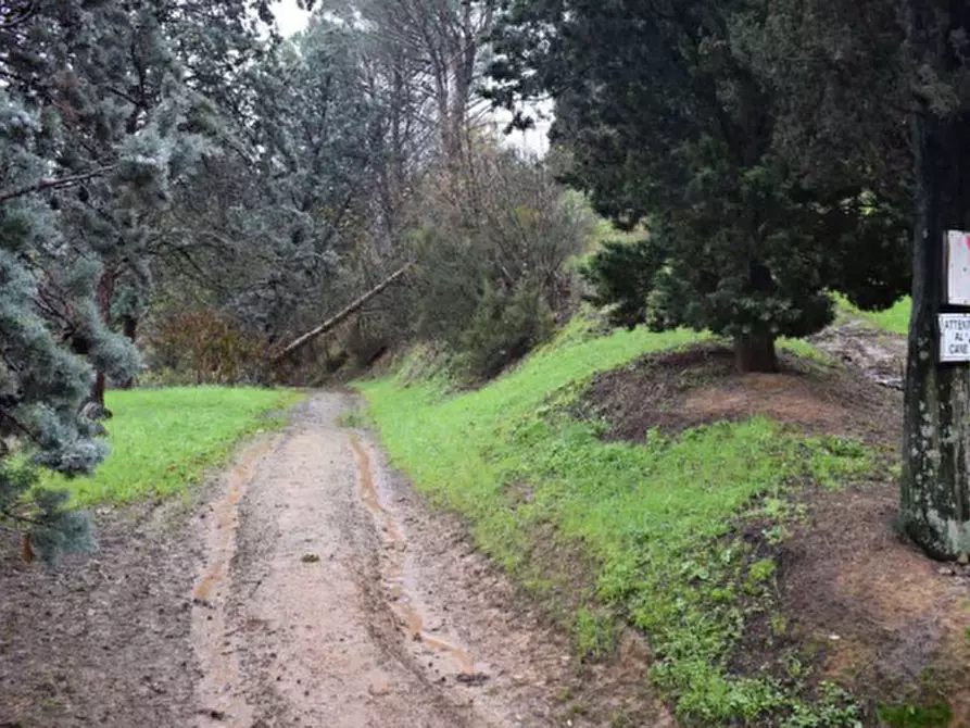 Immagine 9 di Casa indipendente in vendita  in Via Livornese a Lastra A Signa