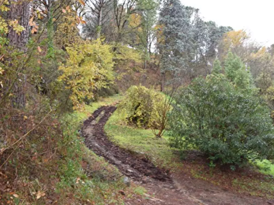 Immagine 11 di Casa indipendente in vendita  in Via Livornese a Lastra A Signa