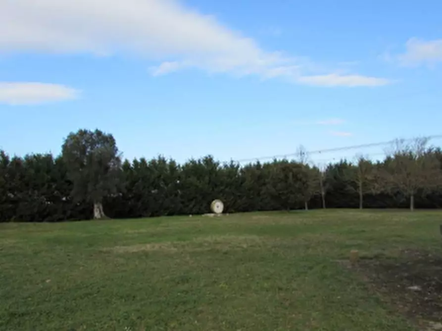 Immagine 9 di Villa in vendita  in Località San Zaccaria a Ravenna