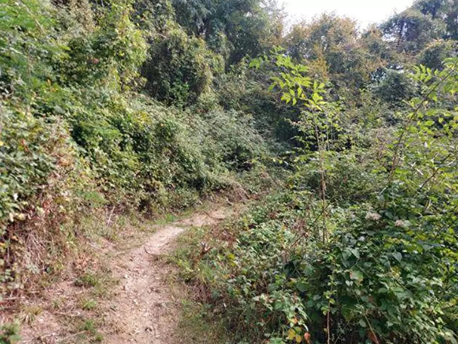 terreno edificabile in vendita a Pradalunga